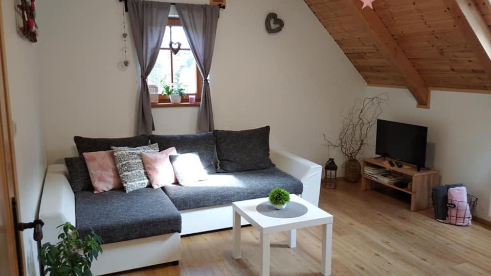 Apartmany U Vlcich Jam Petrowitz Eksteriør bilde